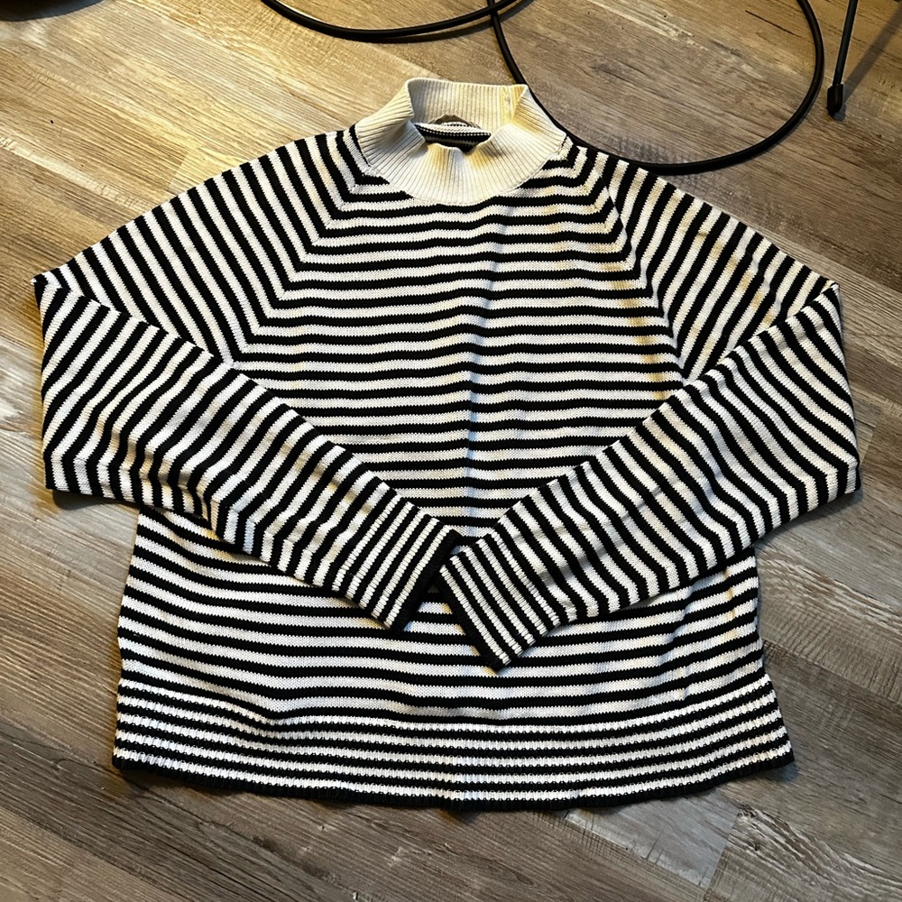 Everlane Black and White Turtleneck Sweater
